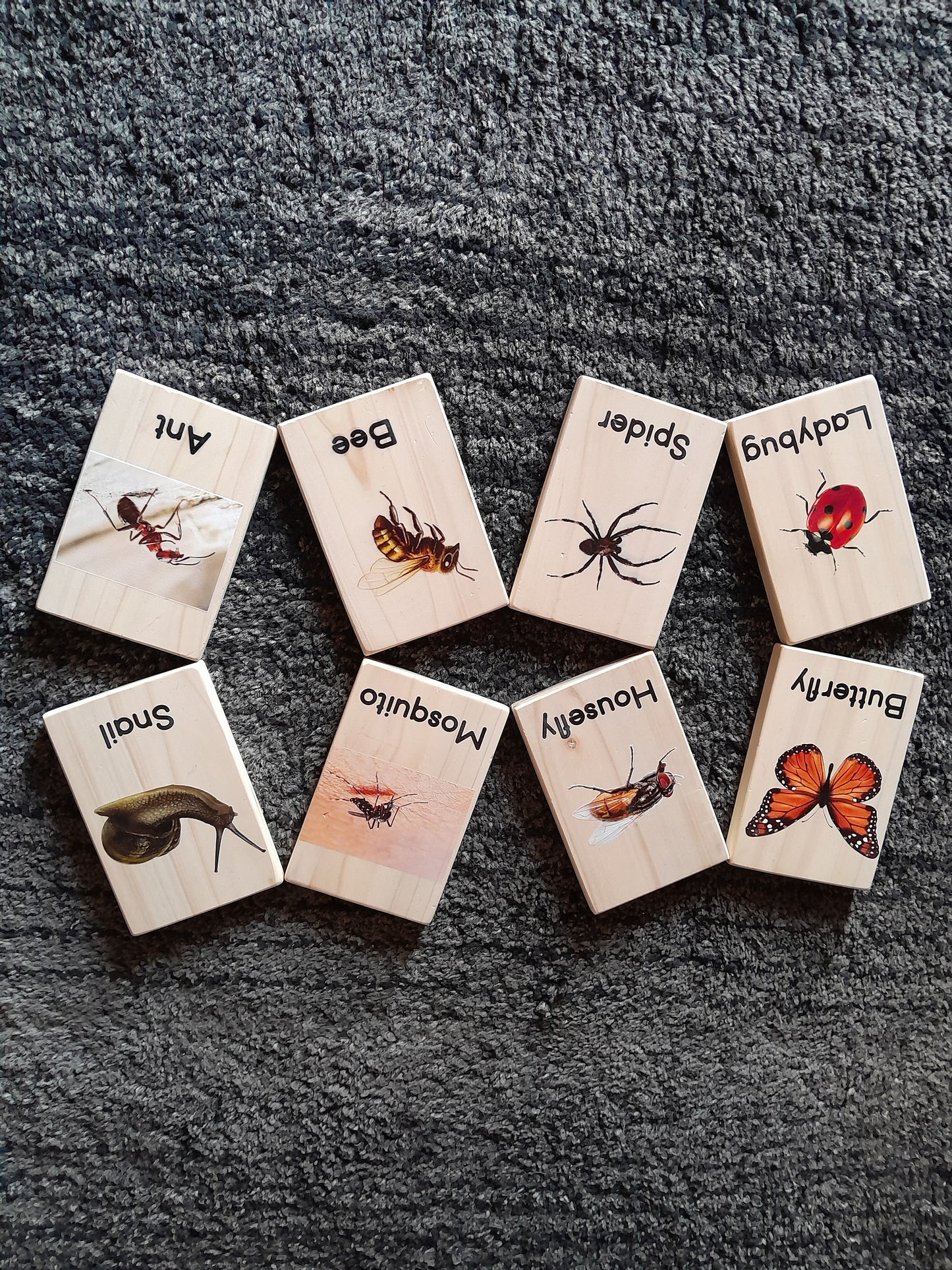 Wooden Insects Flashcards for Toddlers in Kenya – Preschool Learning Cards